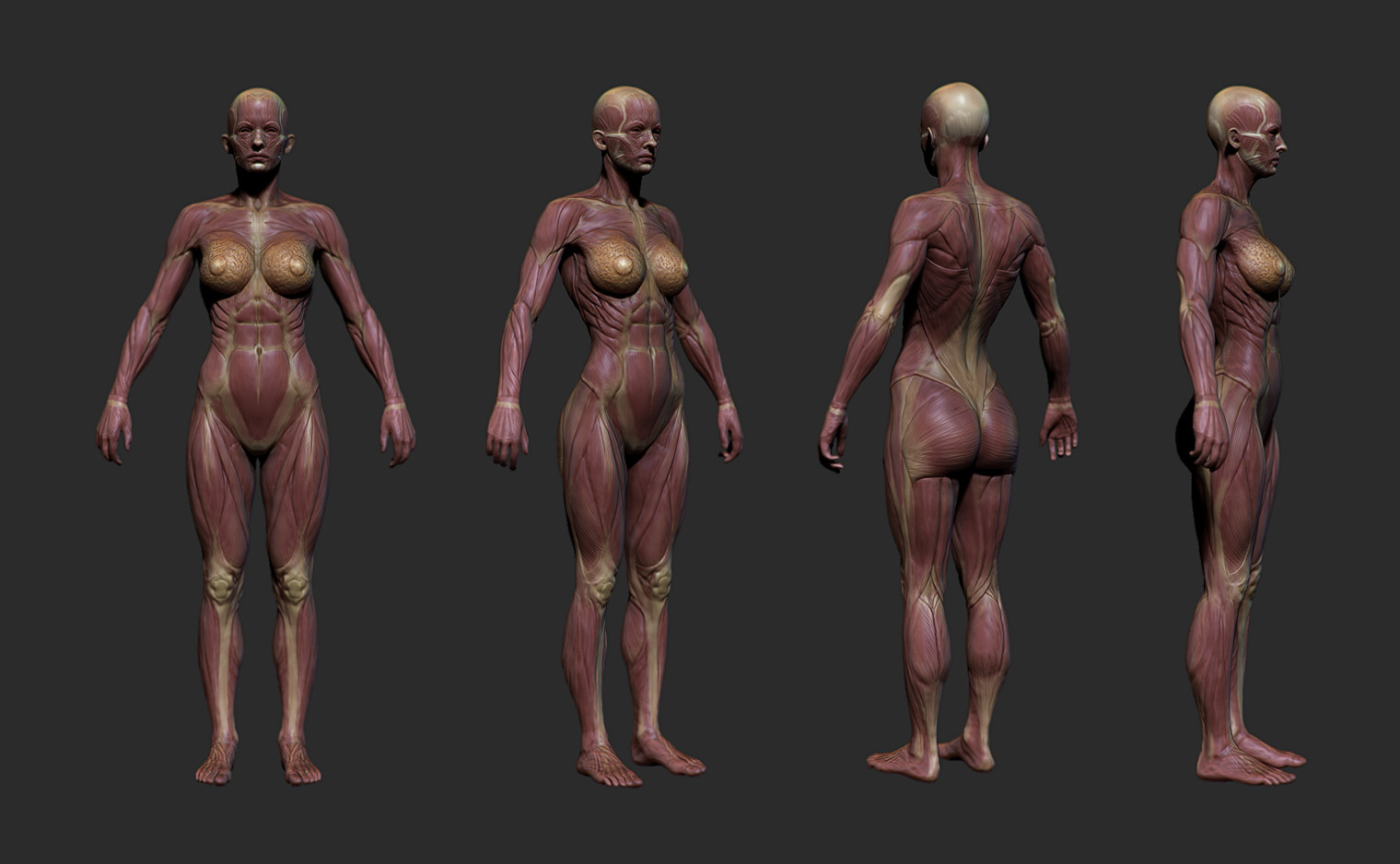As these characters were damaged, their flesh would give way to reveal blood, muscle and bone underneath. This was one of several damage state models. This was also used for quiet's invisibility effect.